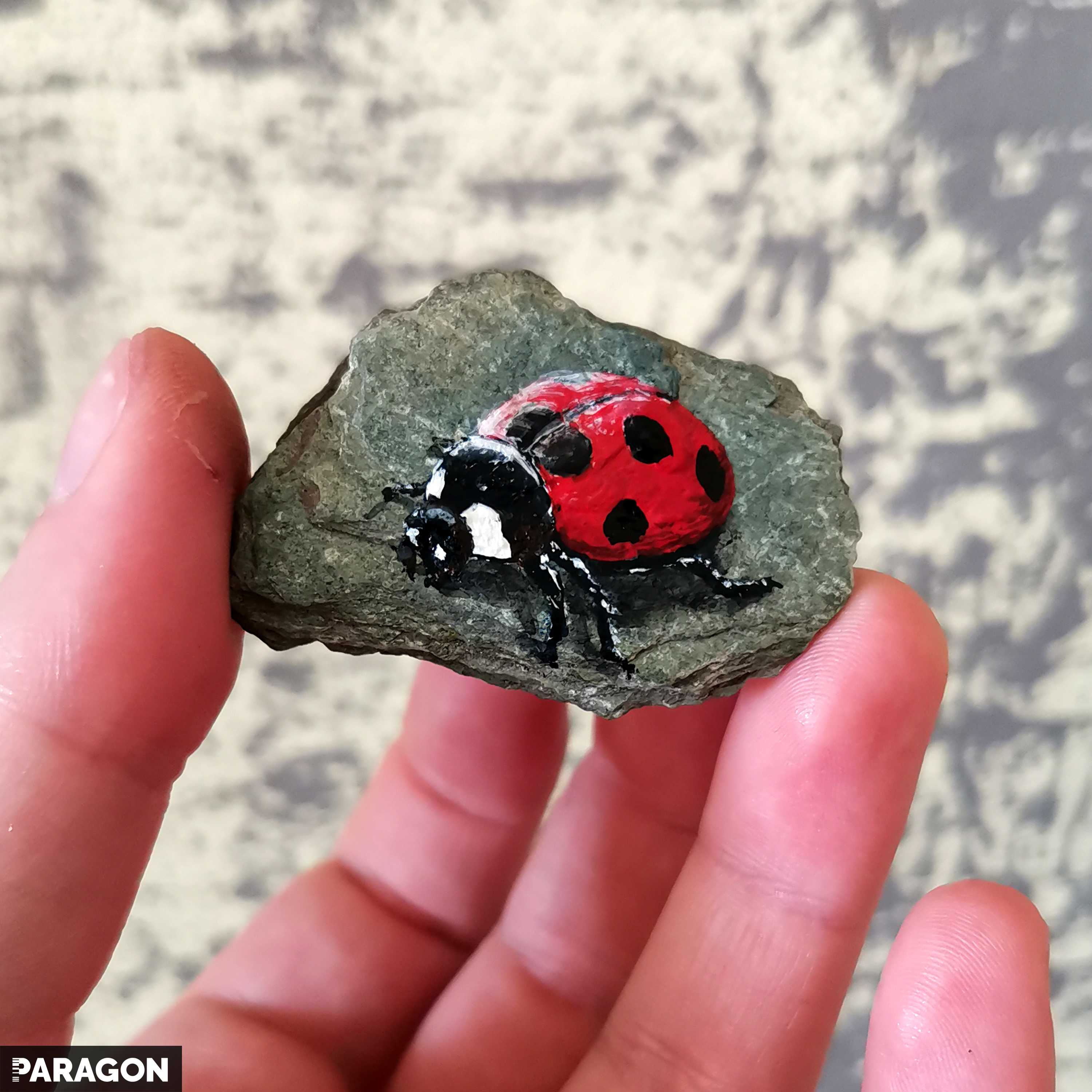 stone_ladybug